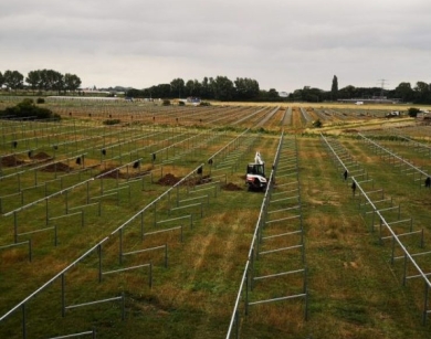 hoogeveen-2